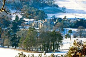 minterne-in-winter