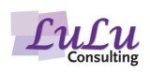 Lulu Consulting Ltd